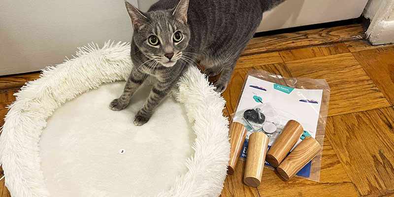 12 Best Cat Beds For Every Budget